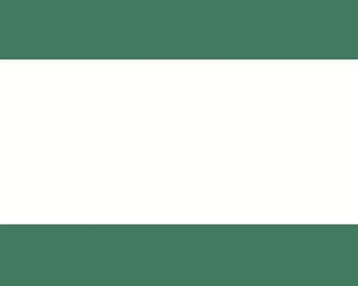 西游记的故事24通天河的大鱼怪第4集 西游记的故事24通天河的大鱼怪第4集