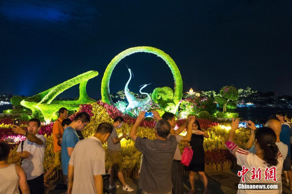 9月3日至5日,金砖国家领导人第九次会晤等系列活动将在福建省厦门市举行,图为9月1日晚间,市民和游客在厦门市鹭江道拍摄街头的花坛灯饰。 中新社记者 侯宇 摄