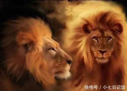 狮子豹子和老虎,究竟谁最厉害?大象一出场,飞禽猛兽四处逃命!