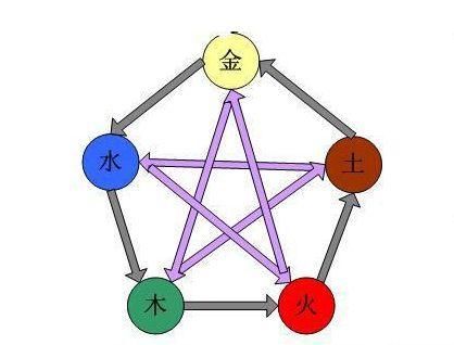 四,属鼠与属猪的人 因为鼠和猪的五行属水,所以属鼠与属猪的朋友,可以