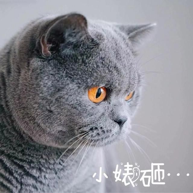 我给你乐趣，你收吗?