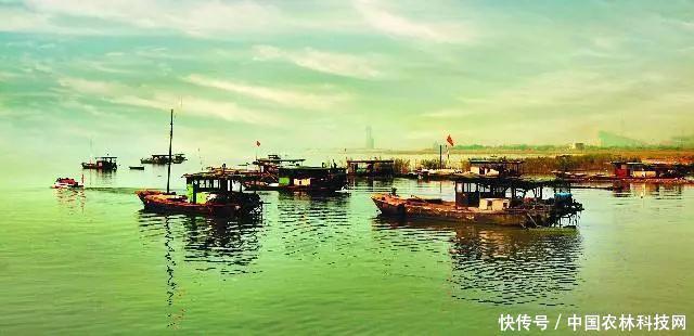 乡村振兴的五大战略目标与途径