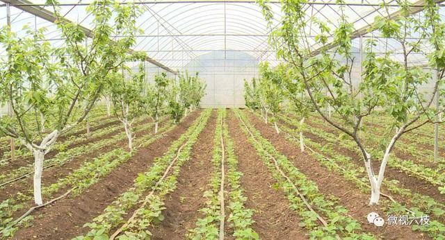 脱贫攻坚春风行动六盘水市第二中学:教育扶贫