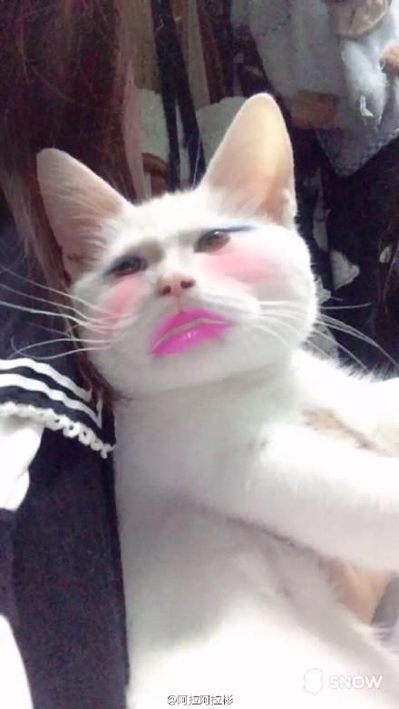 千万不要欺负女胖纸……