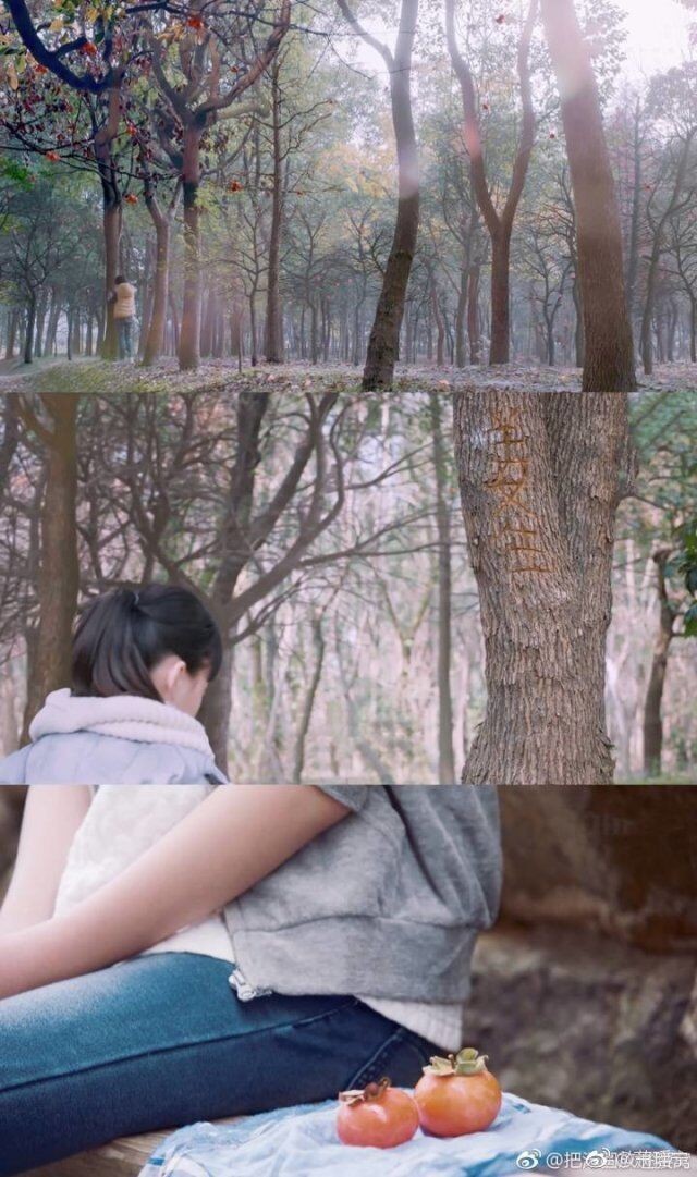 马天宇凉生,含蓄的爱引发大批书粉的共鸣,这就