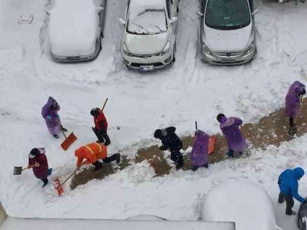 我们一起扫雪去!致广大志愿者的一封信