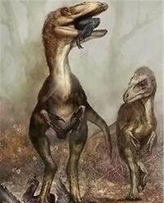 考古界十大惊天骗局揭秘,斐济美人鱼尸骨作假