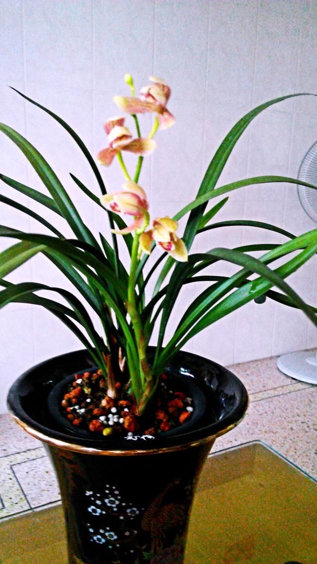 t0123301551764b7426.jpg?size=640x1137