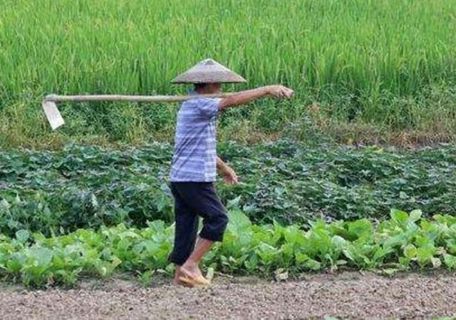 妹妹婚前怀孕,订婚婆婆不给一分钱彩礼,过门三