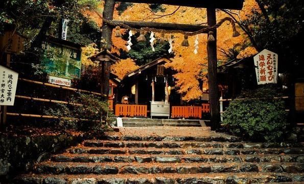 日本一周自由行,路线该怎么选择?大概需要花费