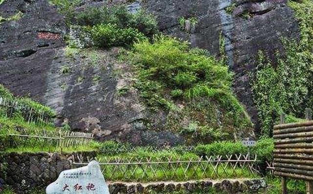 世界上最顶级的十大食材,中国美食排第一,马云