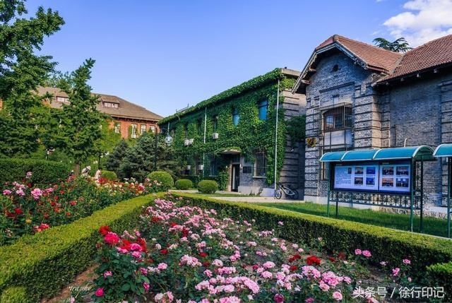 2018高校保送生数量汇总,373人不用高考就能