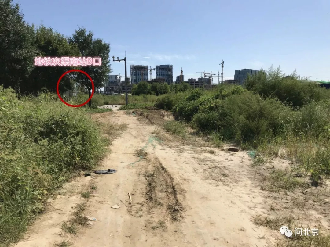 通州次渠南站地铁口道路不通 附近居民穿行草丛去坐地铁