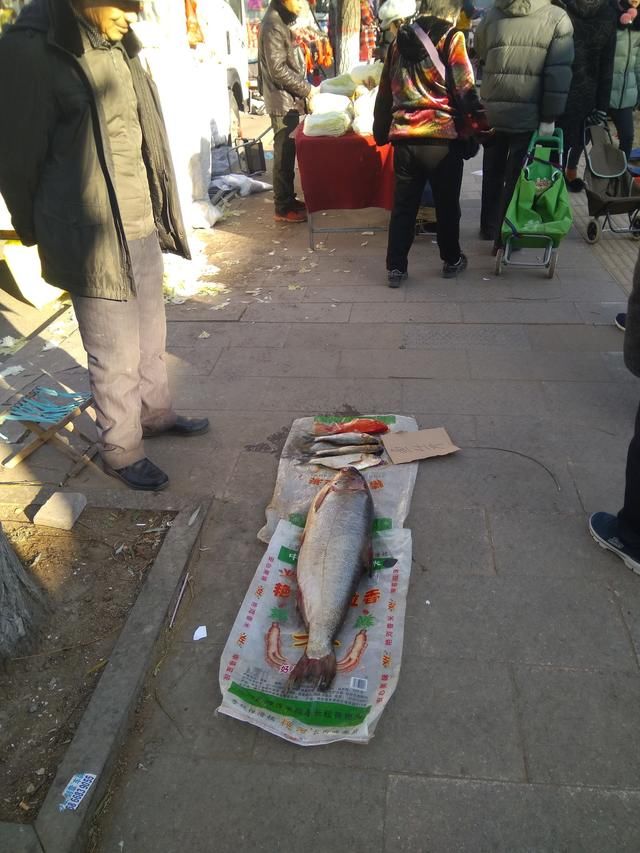 老汉在大集上卖鱼引不少人观望却没有一个人敢买