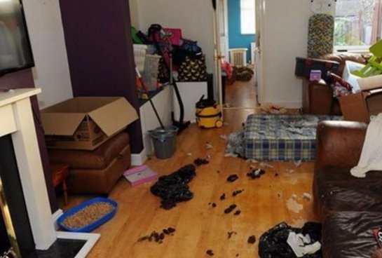 一对夫妇带着3个孩子租房子,欠下4万房租费后