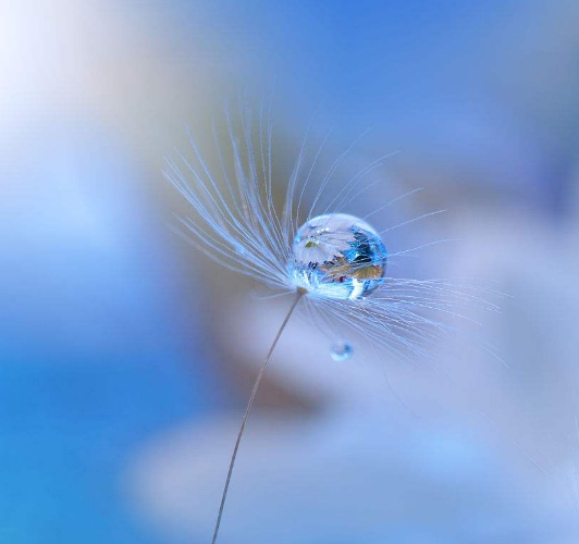 未来3个月财神偏爱,做什么都能挣到大钱,生活