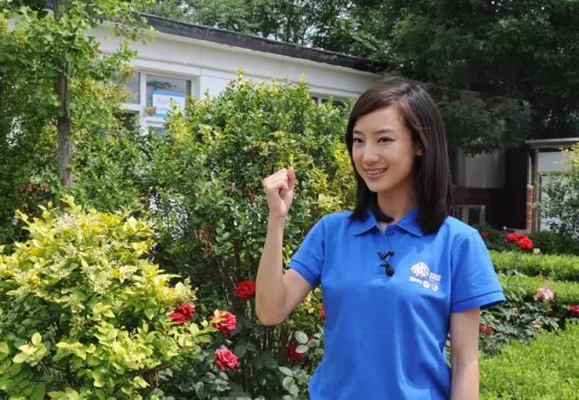 主持人李杨薇:"今天忙活的村儿里事,我都是有备而来,先说这饺子评委我