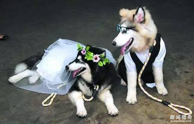 心有灵犀的一对