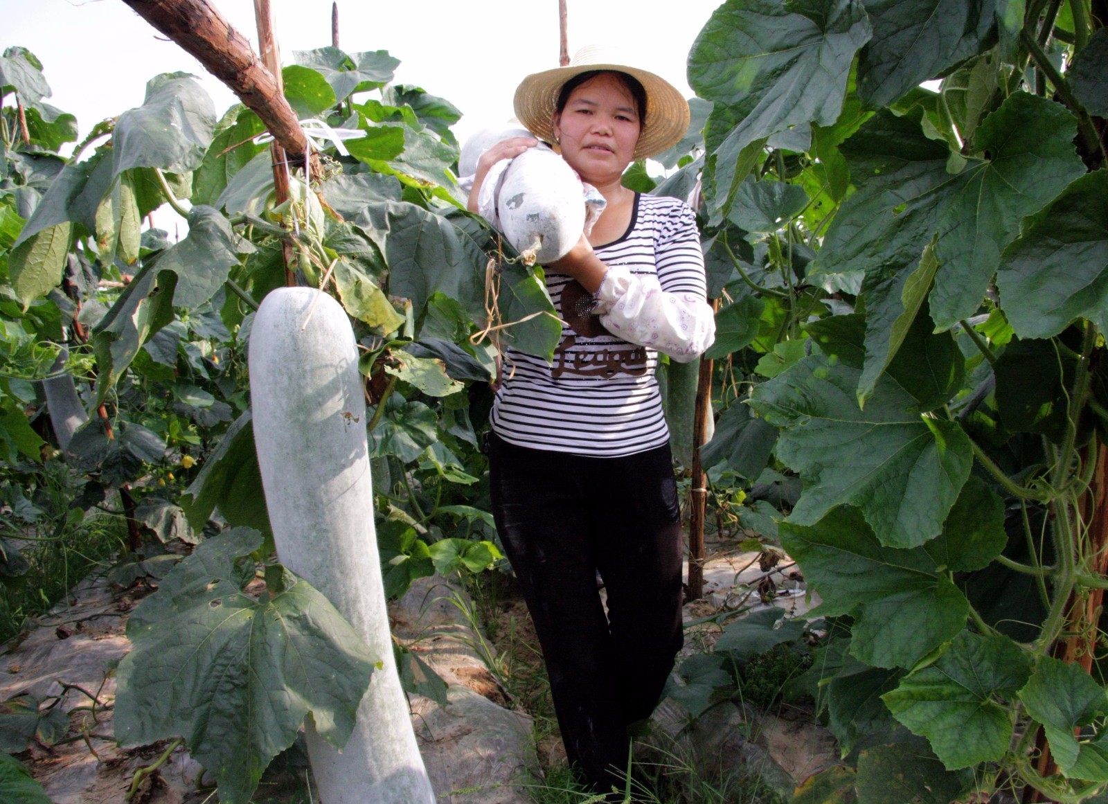 近期发行首单ABN项目探索金融服务新模式