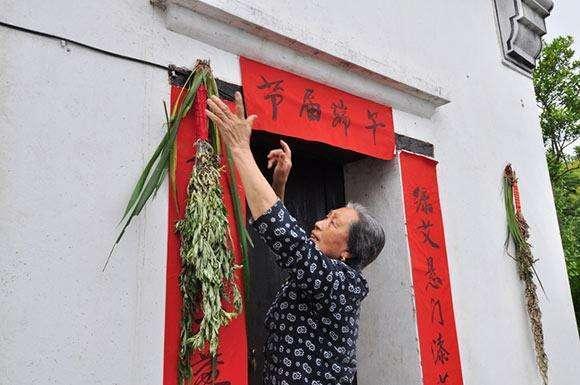 端午节挂艾叶插菖蒲,你知道为什么吗?
