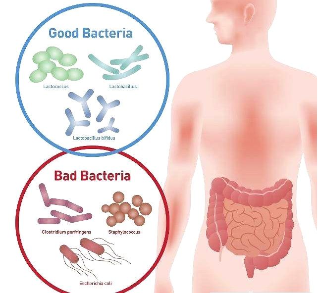 春季过敏性咳嗽频发?只用它,止咳化痰!治好过
