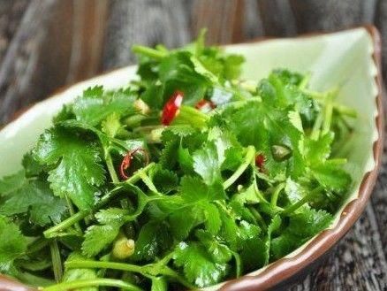 用香菜煮水喝,有5大不为人知的功效,你知道吗?
