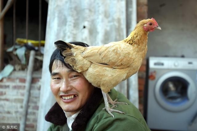 大连一网红广告费30万!到底谁为网红经济买单