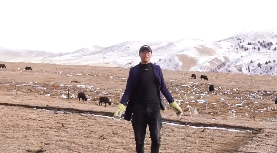 中国梦展播|纪录片《草原上的筑梦者》 中国梦展播|纪录片《草原上的筑梦者》