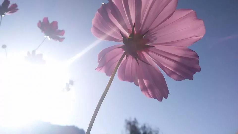 10万存银行还是余额宝?答案是…