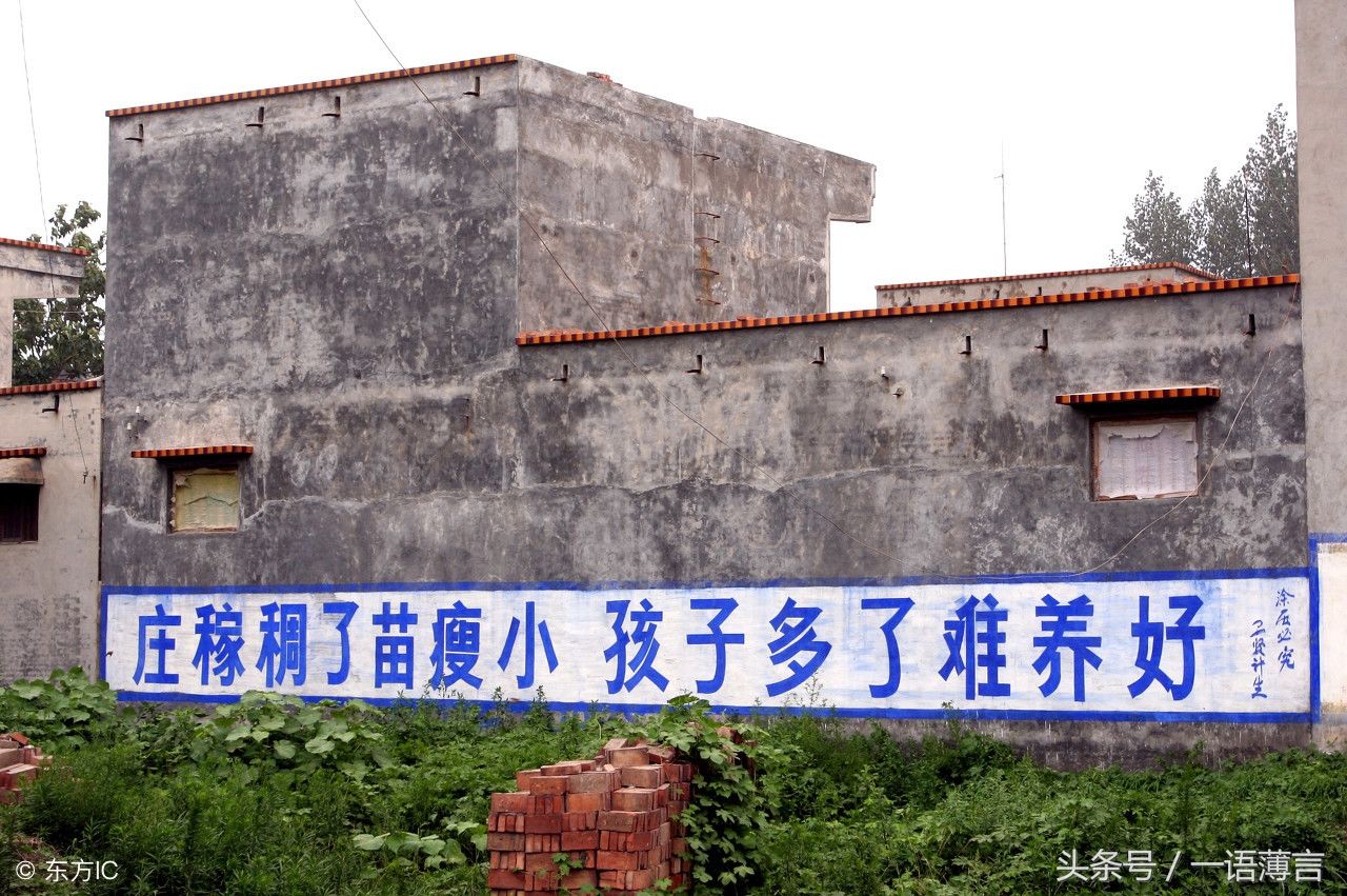 农村隐藏的段子手,写的搞笑雷人标语,笑到肚子