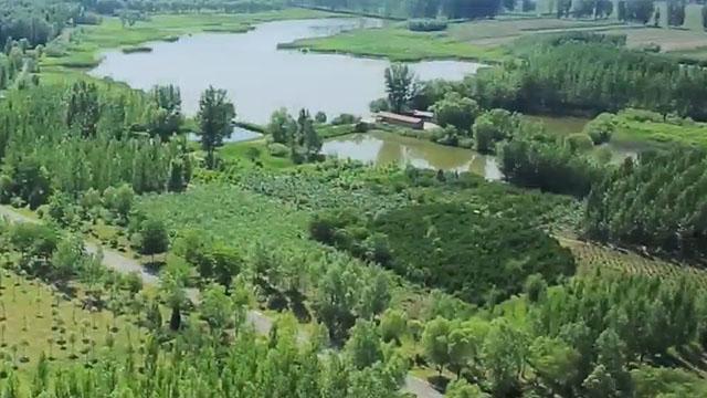 【砥砺奋进的五年】百万亩绿化造林创奇迹