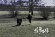 笑到不行了!让我缓一会!
