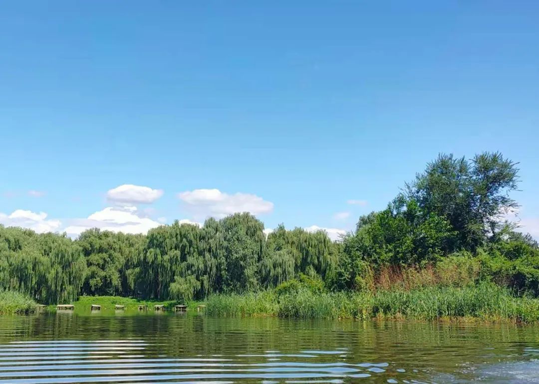 汉石桥湿地公园门票价图片