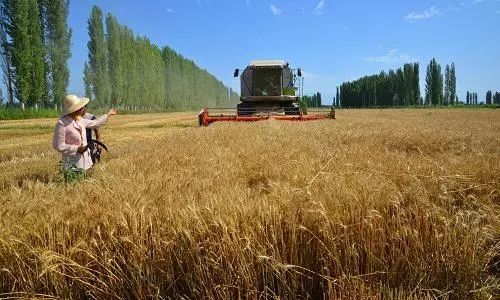 农业机械市场如何发展前景可观?
