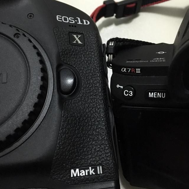 低像素=高感好?佳能1DX2实战索尼A7R3