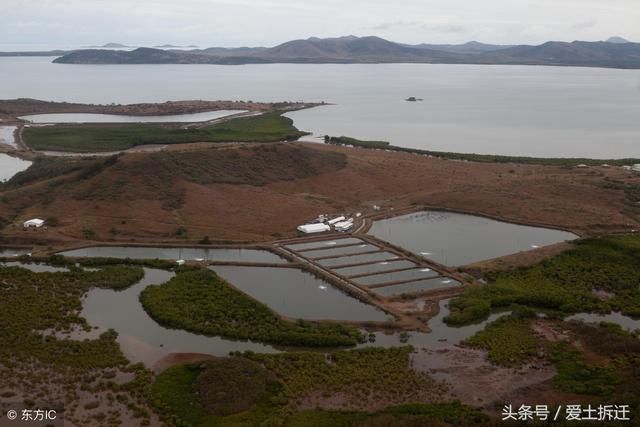 爱土拆迁律师团介入广西大型养殖场拆迁案件