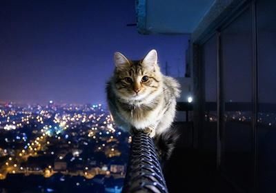 只要5分钟就能掌握30秒微交易k线图分析法