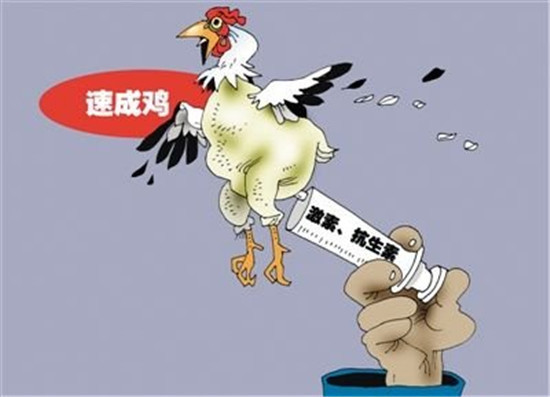 麦当劳将全球停用抗生素鸡 中国不在第一批名单中