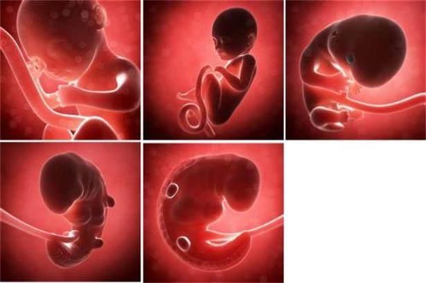 胎儿宫内生长受限"三信号",及时就医很重要,孕妈可大意不得!