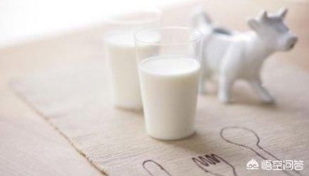 为什么健身减肥的人都爱喝牛奶煮燕麦片?