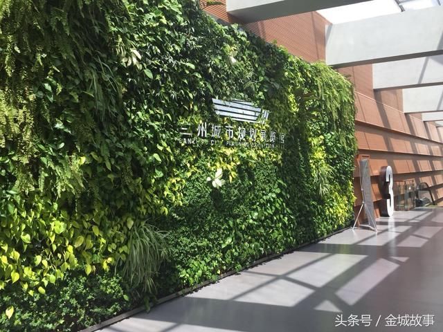 这植物墙很漂亮