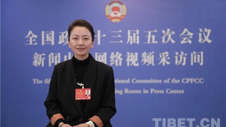 全国政协委员边巴拉姆：同心协力 画好疫情防控最大同心圆