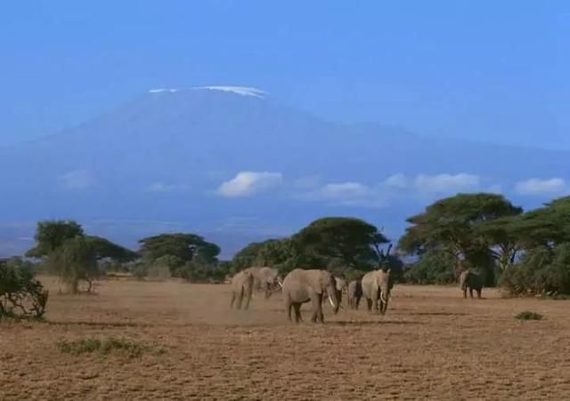 马云为什么看中非洲经济的发展?