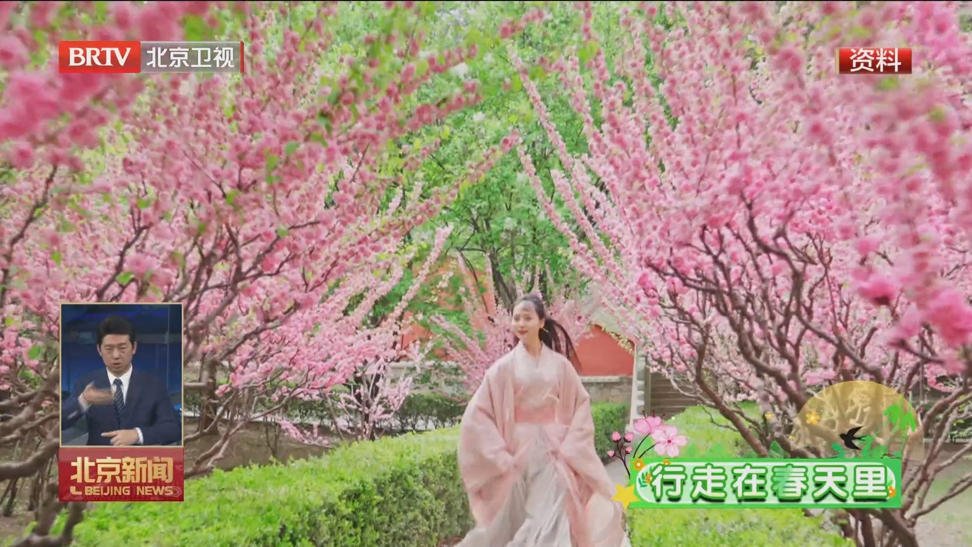 打造“赏花经济”消费新场景 2024京津冀消费季开门迎春系列活动启动 打造“赏花经济”消费新场景 2024京津冀消费季开门迎春系列活动启动