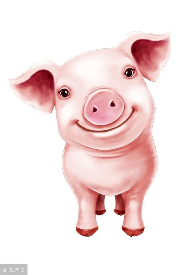 生肖猪:快快快,"吉星"指明要找你,准备好,就在晚上21点准时-北京时间