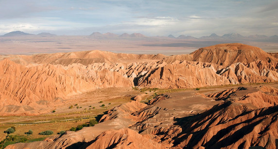 世界最干旱的沙漠,因为下了一场特大暴雨,一夜