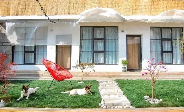 夫妻俩逃离香港,在大理造起一座玻璃房,随手一