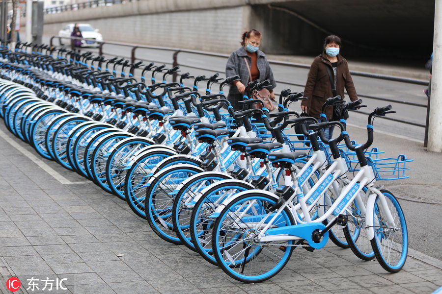 哈罗共享单车大批量投入沈阳 芝麻信用超六百
