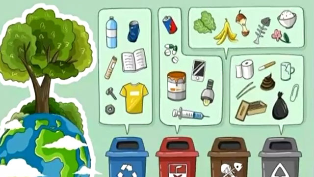 正确的垃圾分类你了解吗？