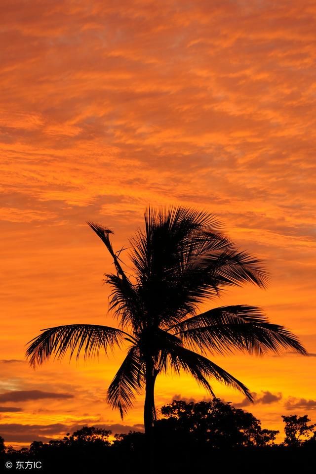 命理解析高云翔性侵案的真正原因